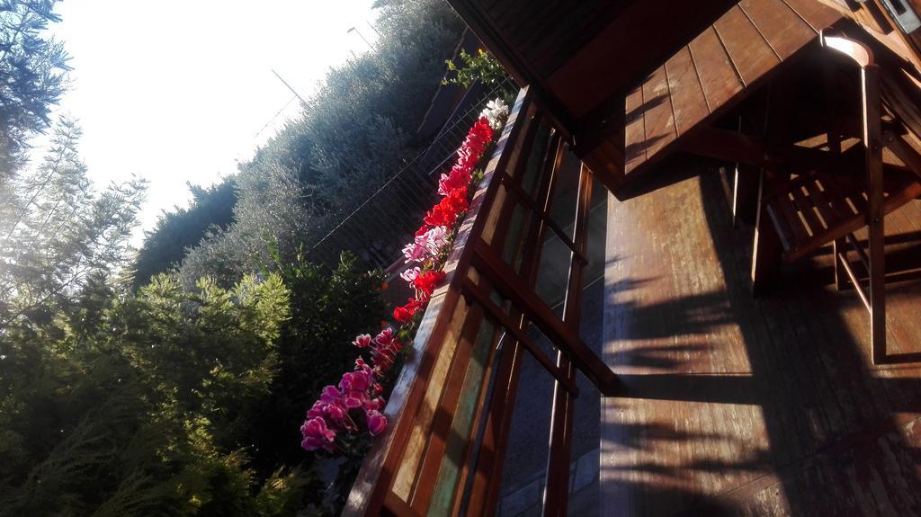 Agriturismo Baita Marina Villa อัลเบงกา ภายนอก รูปภาพ